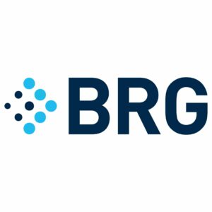 Berkeley Research Group (BRG)